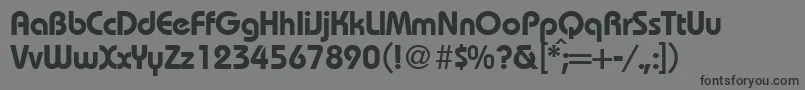 Czcionka RoundhousedemiRegularDb – czarne czcionki na szarym tle