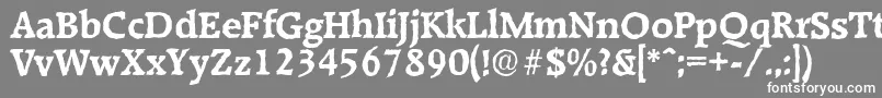 RaleighantiqueBold Font – White Fonts on Gray Background