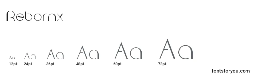 Rebornx Font Sizes