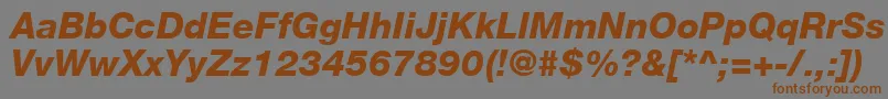 フォントHelveticaLt86HeavyItalic – 茶色の文字が灰色の背景にあります。