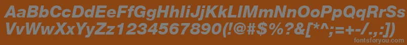 Czcionka HelveticaLt86HeavyItalic – szare czcionki na brązowym tle