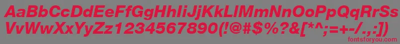 フォントHelveticaLt86HeavyItalic – 赤い文字の灰色の背景