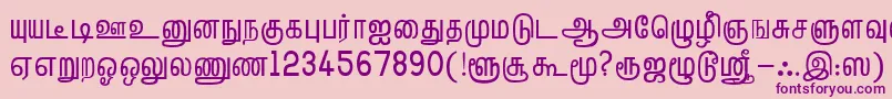 TmlHelvPlain Font – Purple Fonts on Pink Background