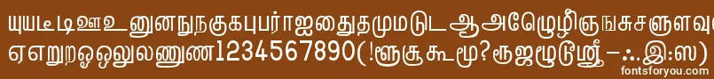 フォントTmlHelvPlain – 茶色の背景に白い文字