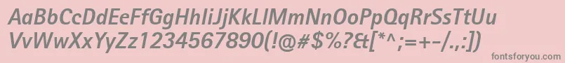 RotisIiSansProBoldItalic Font – Gray Fonts on Pink Background