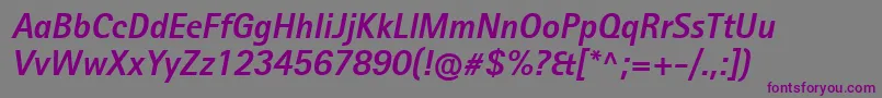 RotisIiSansProBoldItalic Font – Purple Fonts on Gray Background
