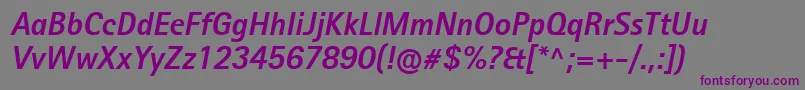 Czcionka RotisIiSansProBoldItalic – fioletowe czcionki na szarym tle