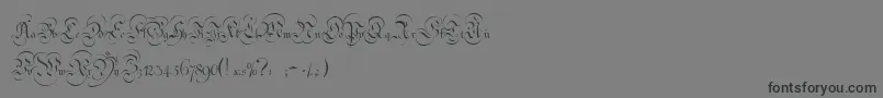 Шрифт StrassburgFraktur – чёрные шрифты на сером фоне