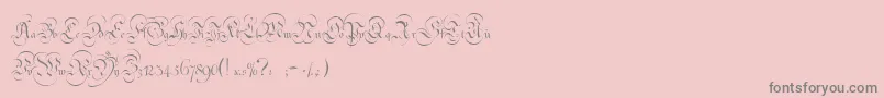 StrassburgFraktur Font – Gray Fonts on Pink Background
