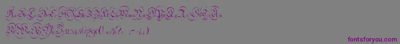 StrassburgFraktur-Schriftart – Violette Schriften auf grauem Hintergrund