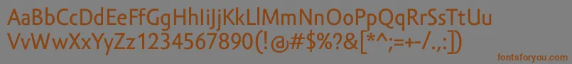 More about AmorSansTextPro Font AmorSansTextPro Font – Brown Fonts on Gray Background