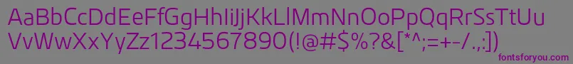 KuroRegular Font – Purple Fonts on Gray Background