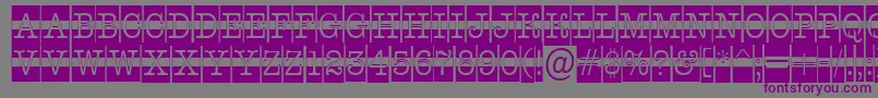 AOldtypercmdcwstr Font – Purple Fonts on Gray Background