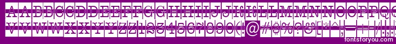 Police AOldtypercmdcwstr – polices blanches sur fond violet