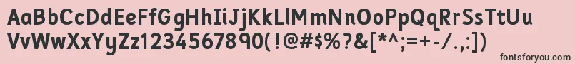 FolderrgBold Font – Black Fonts on Pink Background