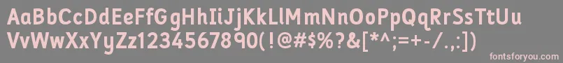 FolderrgBold Font – Pink Fonts on Gray Background