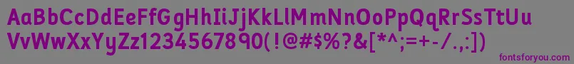 FolderrgBold Font – Purple Fonts on Gray Background