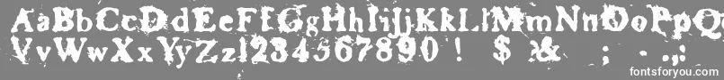 Baskr Font – White Fonts on Gray Background