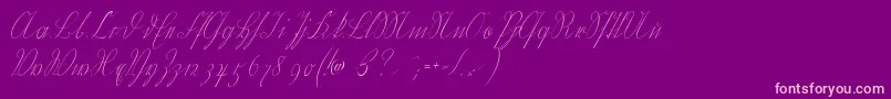 Wiegelkurrent Font – Pink Fonts on Purple Background