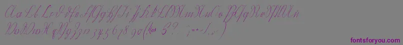 Wiegelkurrent-Schriftart – Violette Schriften auf grauem Hintergrund