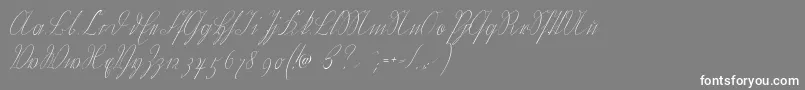 フォントWiegelkurrent – 灰色の背景に白い文字