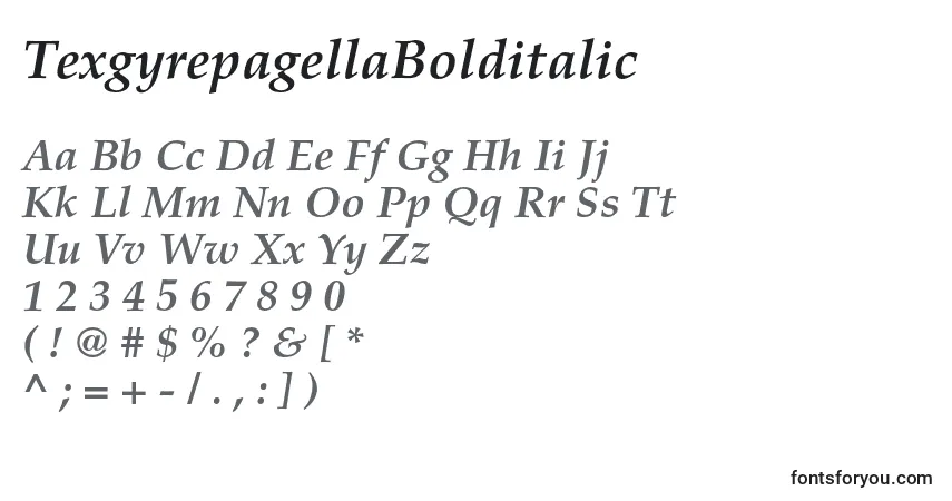 Schriftart TexgyrepagellaBolditalic – Alphabet, Zahlen, spezielle Symbole