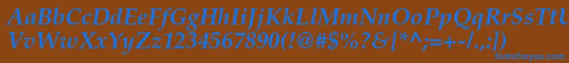 TexgyrepagellaBolditalic Font – Blue Fonts on Brown Background