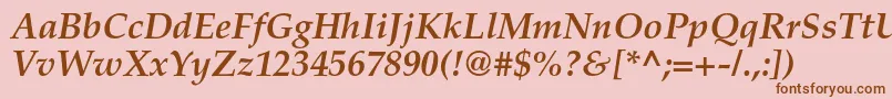 TexgyrepagellaBolditalic Font – Brown Fonts on Pink Background