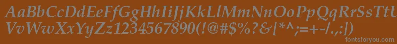 TexgyrepagellaBolditalic Font – Gray Fonts on Brown Background