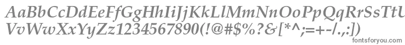 TexgyrepagellaBolditalic-fontti – harmaat kirjasimet valkoisella taustalla
