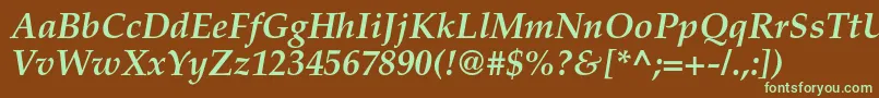TexgyrepagellaBolditalic Font – Green Fonts on Brown Background