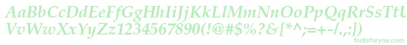 TexgyrepagellaBolditalic Font – Green Fonts