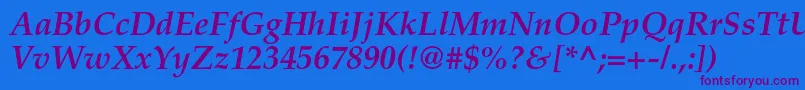 TexgyrepagellaBolditalic Font – Purple Fonts on Blue Background