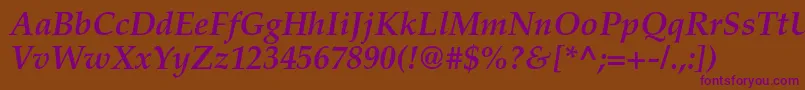 TexgyrepagellaBolditalic Font – Purple Fonts on Brown Background