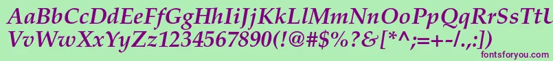 TexgyrepagellaBolditalic Font – Purple Fonts on Green Background