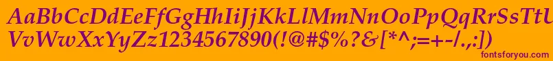 TexgyrepagellaBolditalic Font – Purple Fonts on Orange Background