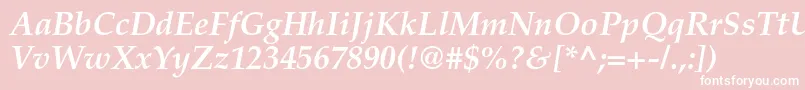 TexgyrepagellaBolditalic Font – White Fonts on Pink Background