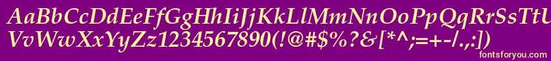 TexgyrepagellaBolditalic Font – Yellow Fonts on Purple Background