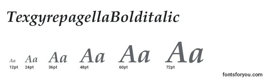 TexgyrepagellaBolditalic Font Sizes