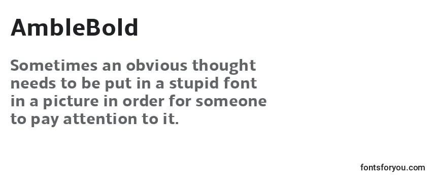 Review of the AmbleBold Font