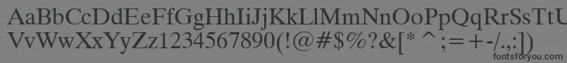 Dutch801RomanWin95bt Font – Black Fonts on Gray Background