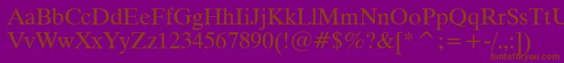 Dutch801RomanWin95bt Font – Brown Fonts on Purple Background