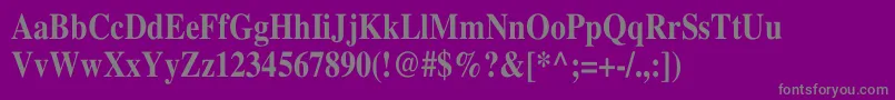 TimesBoldTh Font – Gray Fonts on Purple Background