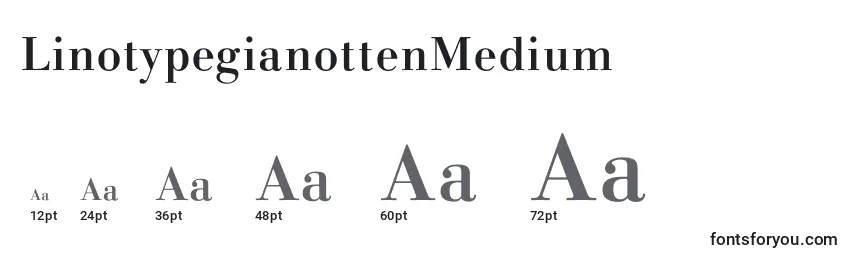 Размеры шрифта LinotypegianottenMedium
