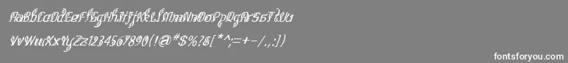 フォントBitlingsulochicalligraItal – 灰色の背景に白い文字