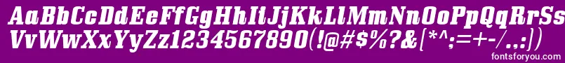 BullpenhvItalic Font – White Fonts on Purple Background