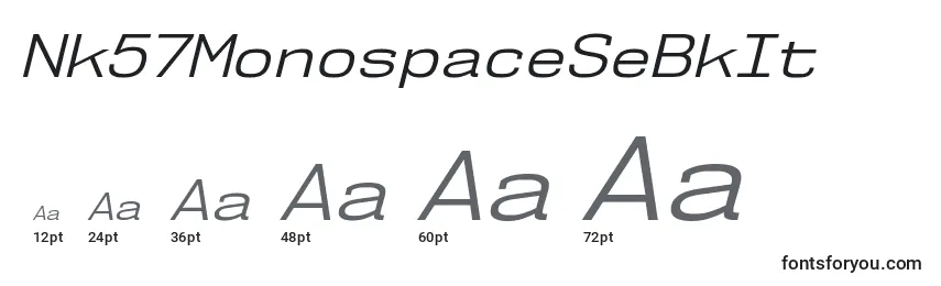 Размеры шрифта Nk57MonospaceSeBkIt