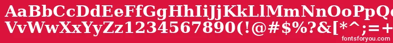 フォントDejavuserif ffy – 赤い背景に白い文字