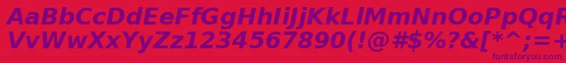 PrimaSansBoldObliqueBt Font – Purple Fonts on Red Background