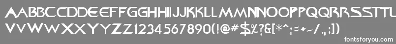 Federation ffy Font – White Fonts on Gray Background